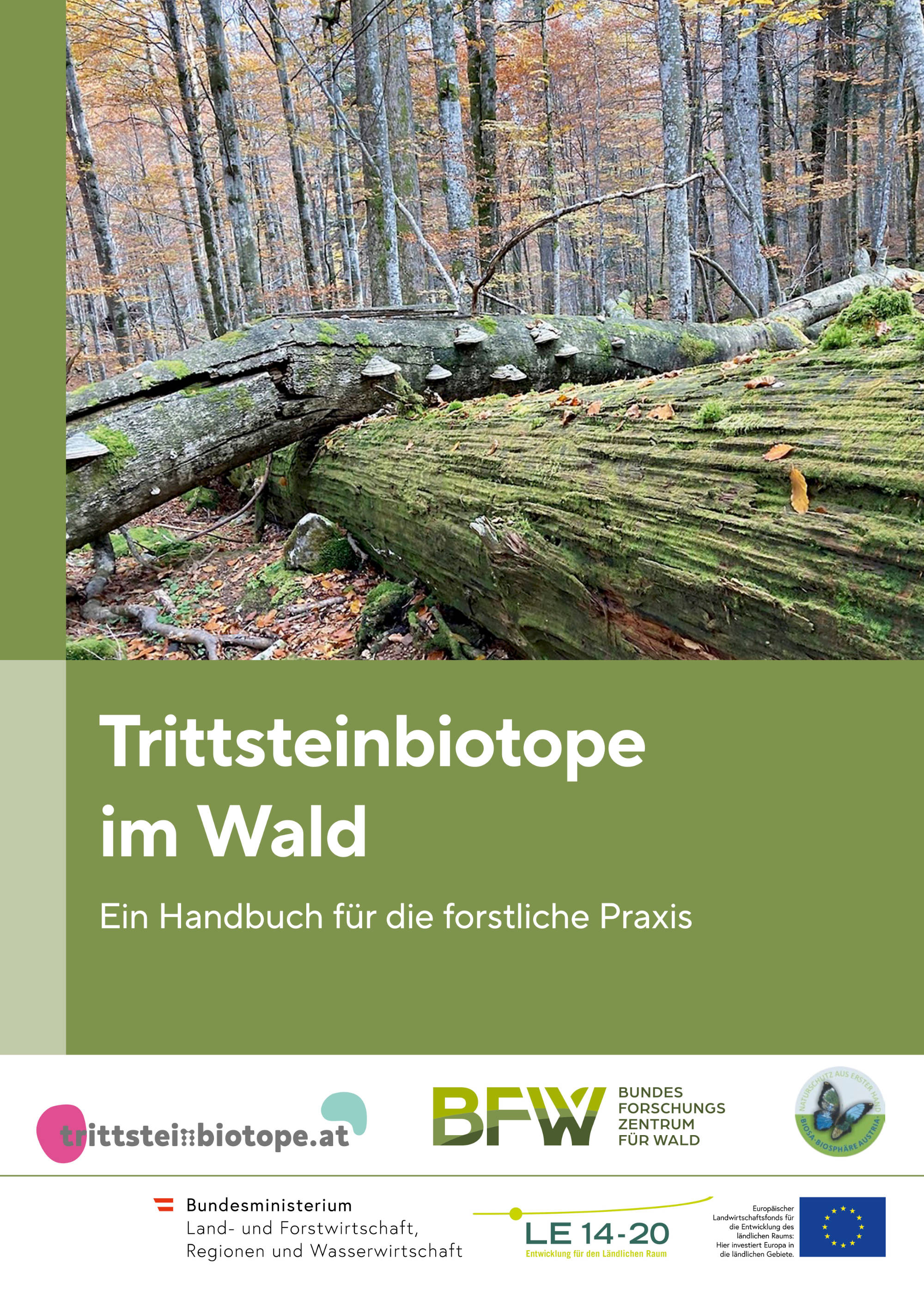 trittsteinbiotope wald gr