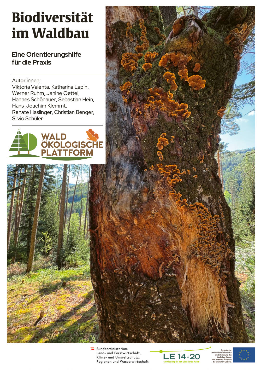 biodiversitaetimwald